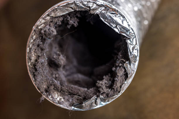 Best Home Air Vent Cleaning  in Flint, MI